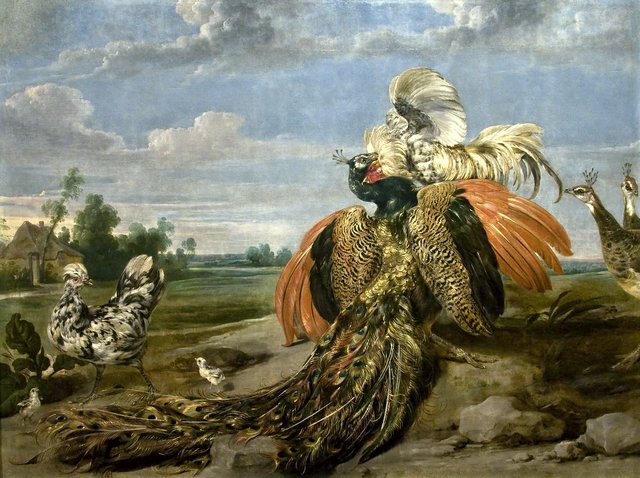 Peacock and Cock Fighting by Paul de Vos