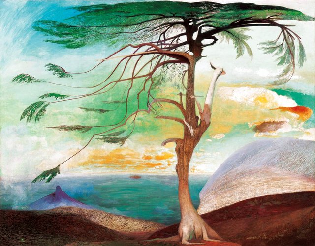 The Lonely Cedar by Tivadar Csontváry Kosztka
