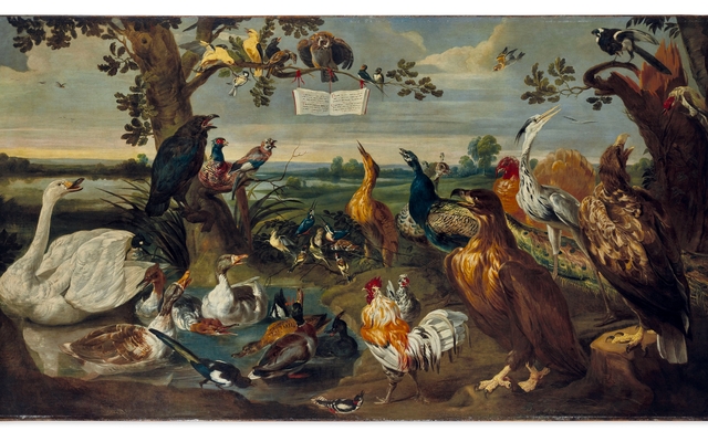 The Birds Concert by Paul de Vos