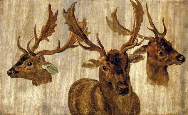 Three studies of a stag's head by Jan Brueghel the Younger
