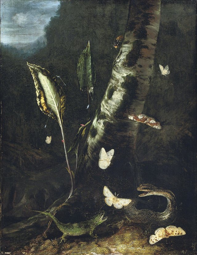Forest Floor Still Life, With A Lizard, A Snake And Butterflies by Otto Marseus van Schrieck