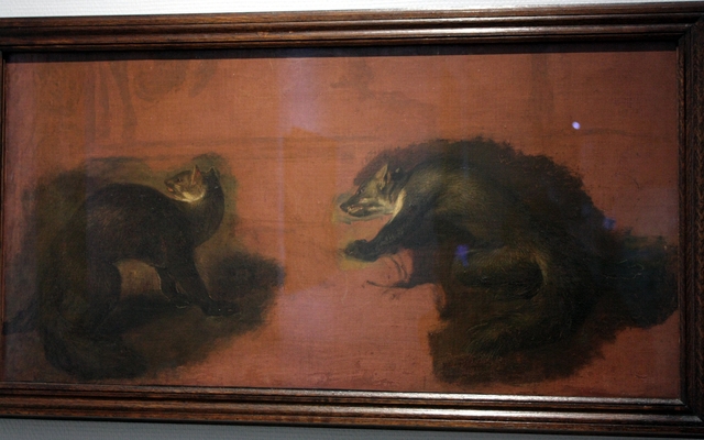 Étude de furets by Pieter Boel