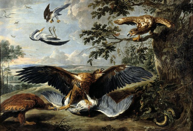 Fight between Eagles by Pieter Boel