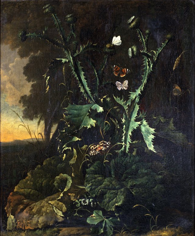 Still life with thistles and butterflies by Abraham Begeyn