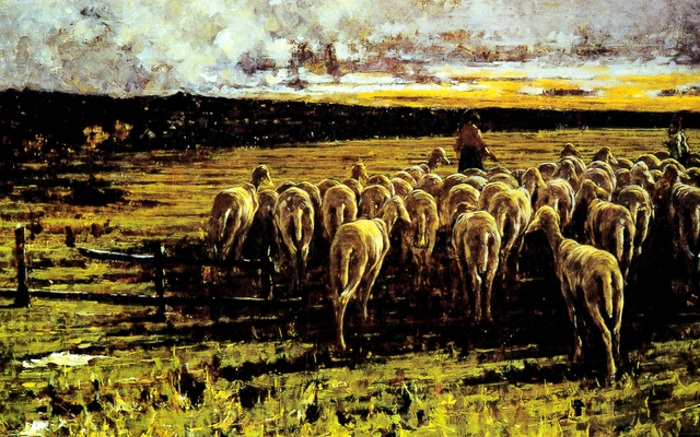 Sheared sheep by Francesco Filippini
