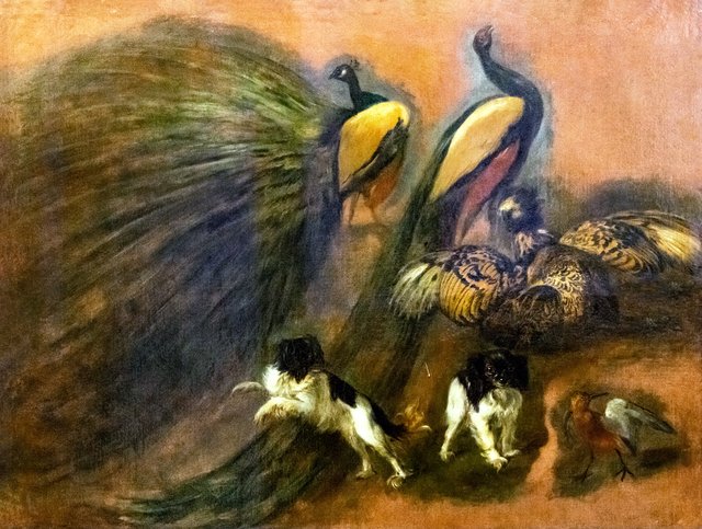 Peacocks, dogs and birds by Pieter Boel