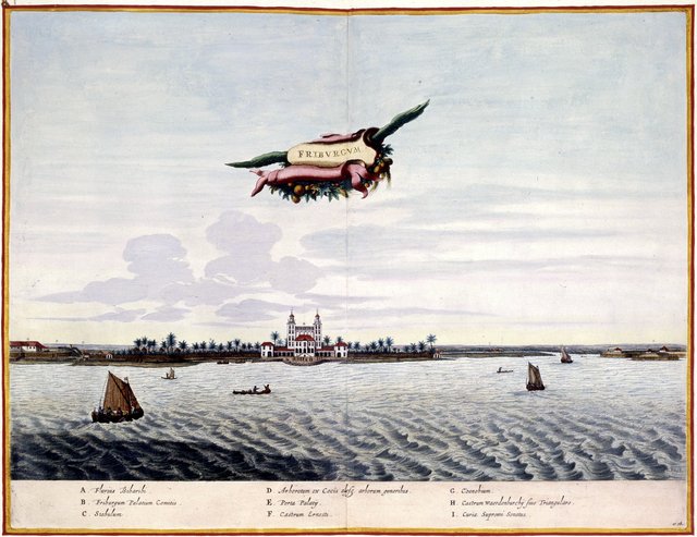 Friburgum by Frans Post