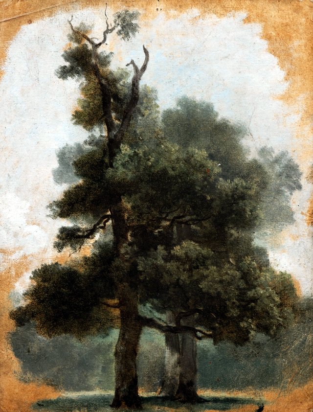 Baumstudie im Bois de Boulogne by Pierre-Henri de Valenciennes
