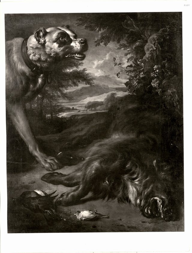 Großer Hund mit erlegtem Eber und Vögeln by Jan Weenix