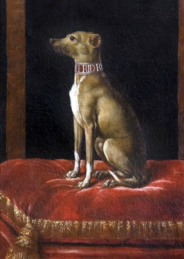 A great lord's dog by Jean Ranc