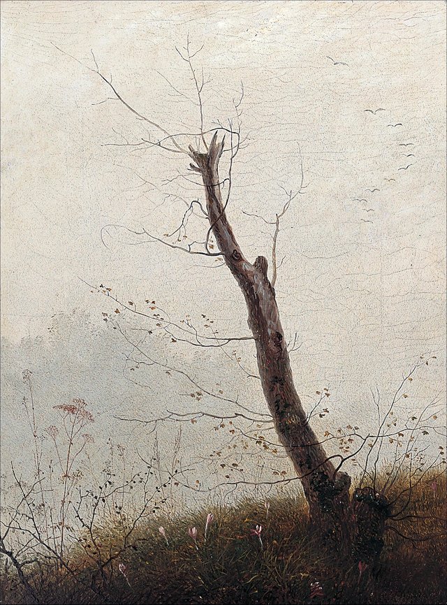 tru in fog by Carl Gustav Carus