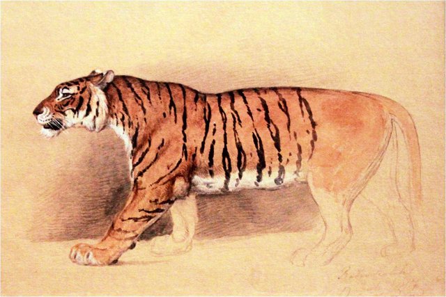 Study of a walking Tiger by Raden Saleh