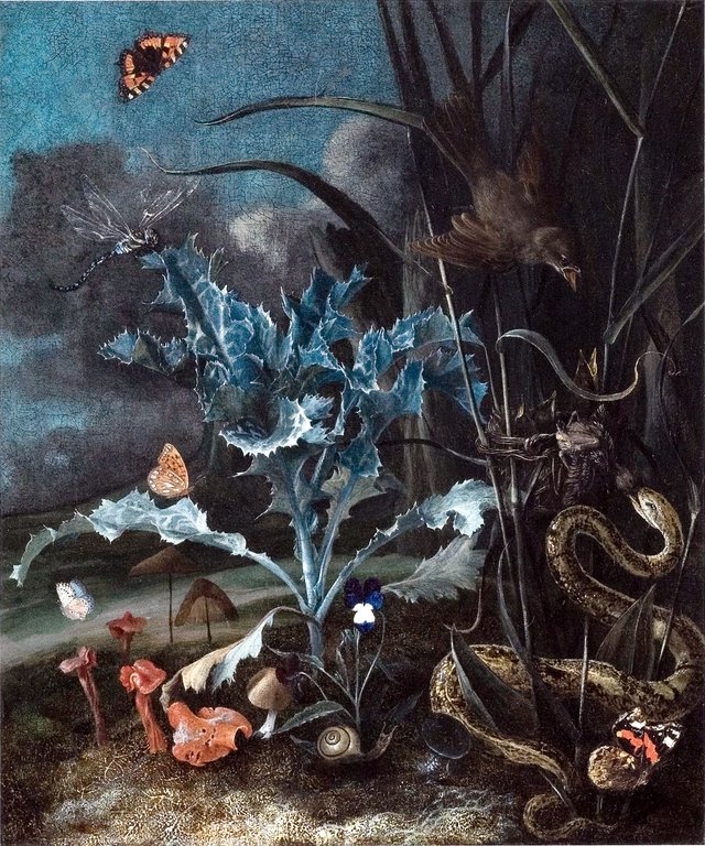 Forest floor still life with thistle, mushrooms, aspis adder and sedge-warbler by Otto Marseus van Schrieck