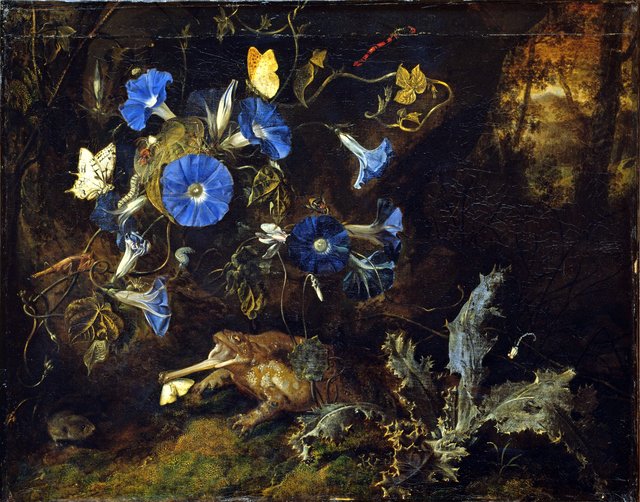Forest still life with great morning glory and toad by Otto Marseus van Schrieck