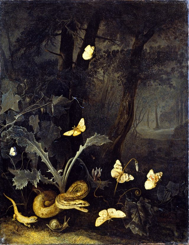 Forest floor still life with grass snake and lizard by Otto Marseus van Schrieck