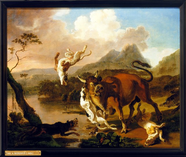 Honden vallen een stier aan by Abraham Hondius