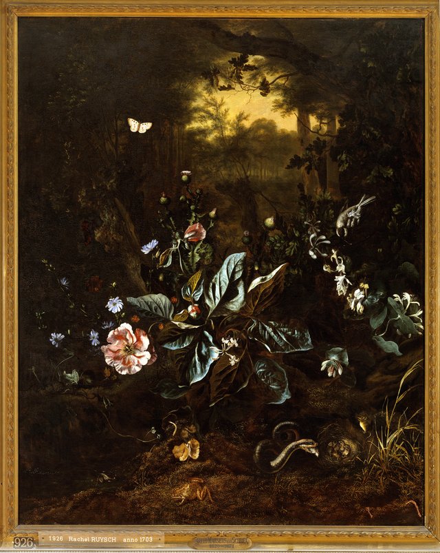 Still life of flowers and small animals at the edge of a forest by Rachel Ruysch