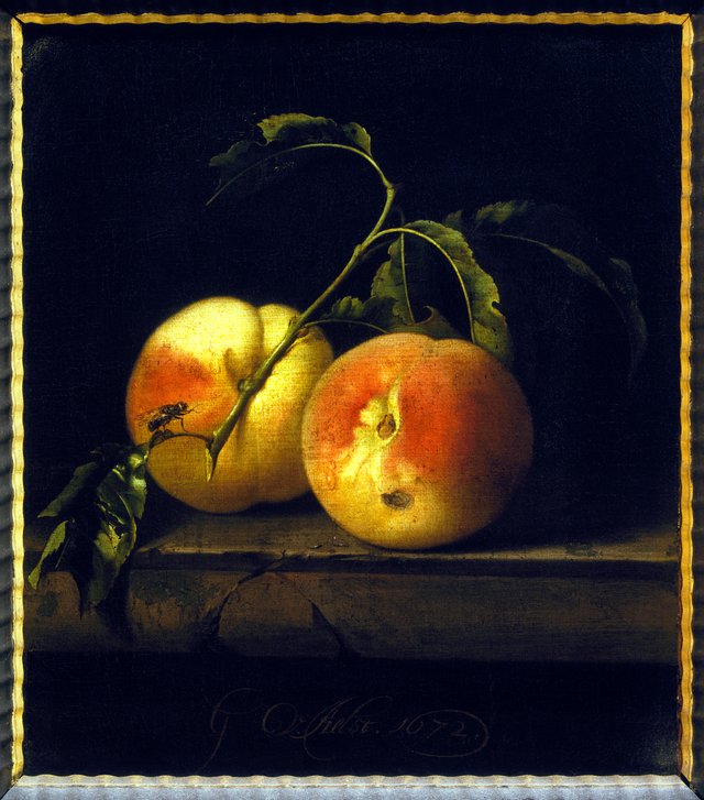 Still life of two peaches on a stone ledge by Willem van Aelst