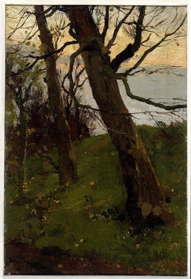 Boomstudie. by Willem de Zwart