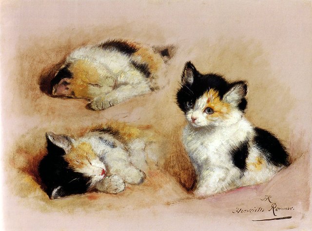 Study of awakening kitten by Henriëtte Ronner-Knip