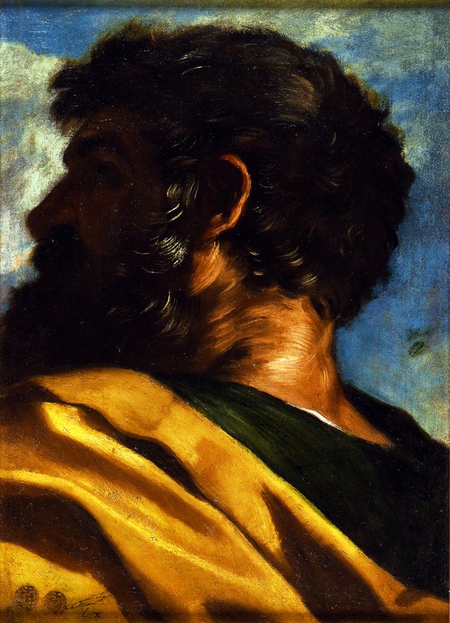 Tête d'homme by Pier Francesco Mola