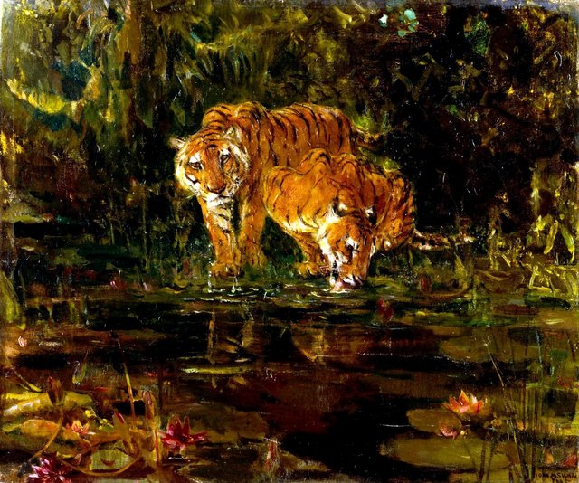 Tigers drinking by John Macallan Swan
