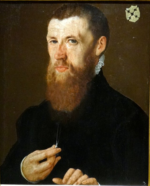 Portrait of Willem van Lockhorst (1514-1564) by Jan van Scorel