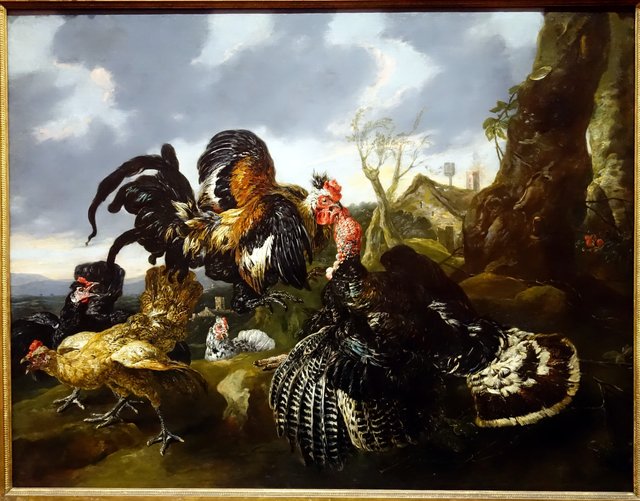 Vechtende haan en kalkoen by Jan Fyt