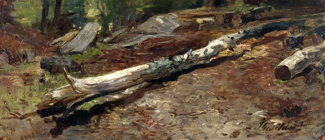 Tree trunk by Johannes Warnardus Bilders