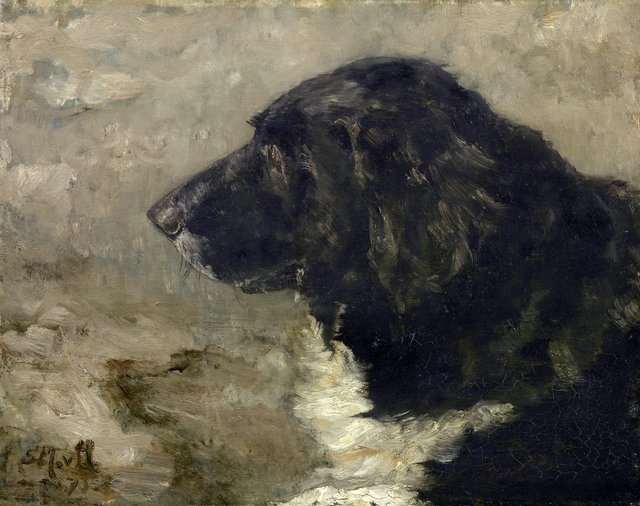 Head of a dog: Nero by Sina Mesdag-van Houten