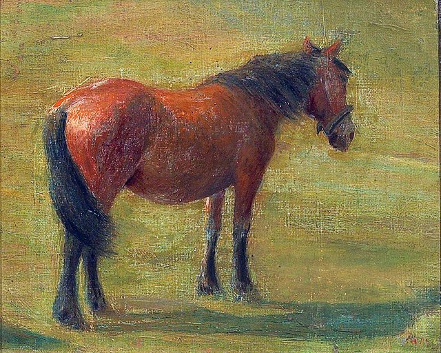 Horse in a field. by Hans Michael Therkildsen