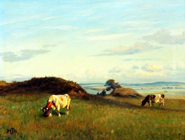 Cows in the fields. by Hans Michael Therkildsen