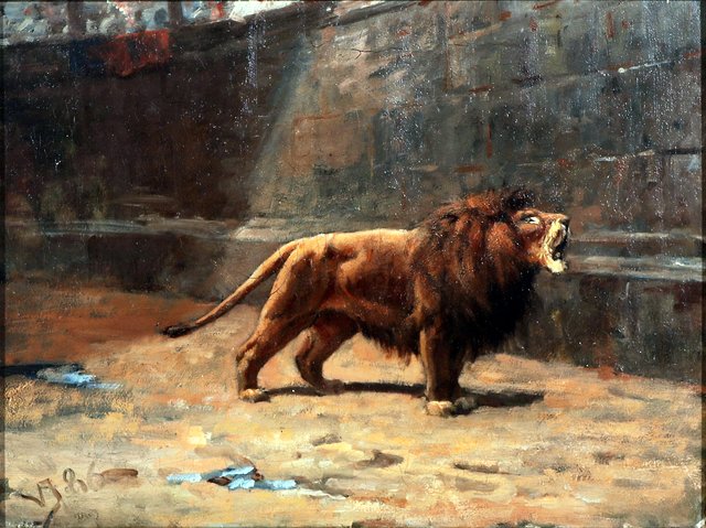 A roaring lion in the Colosseum. by Valdemar Irminger