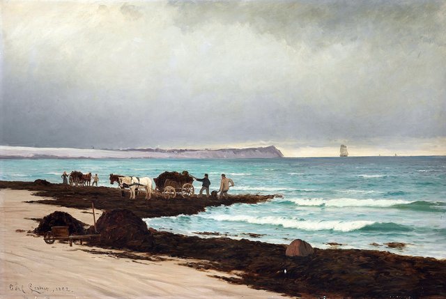 Collecting seaweed on the beach at Hornbæk. by Carl Locher
