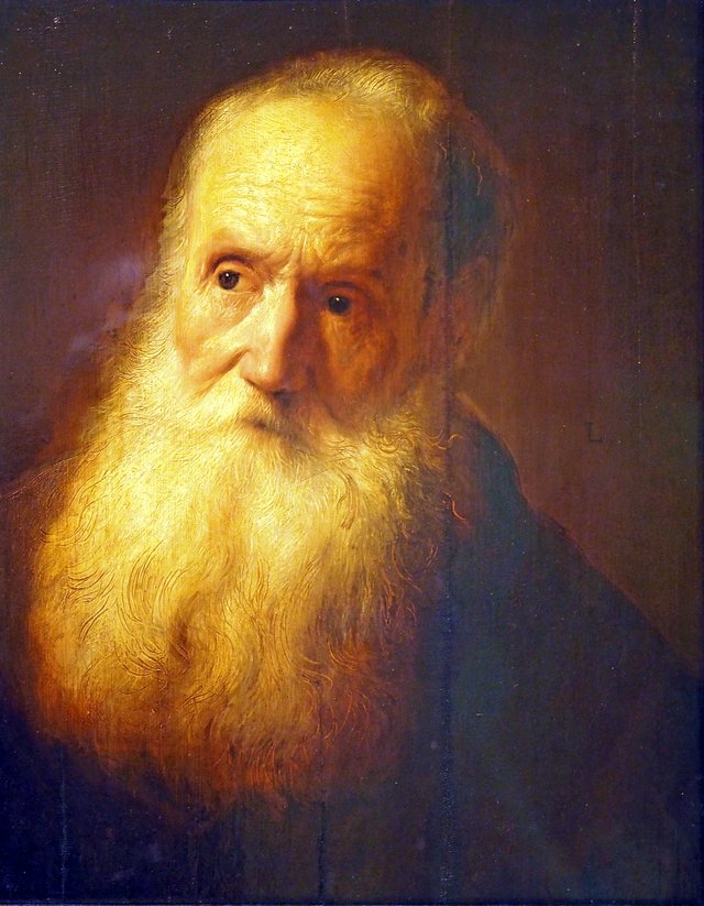 Bust of a bearded grey-haired man by Jan Lievens