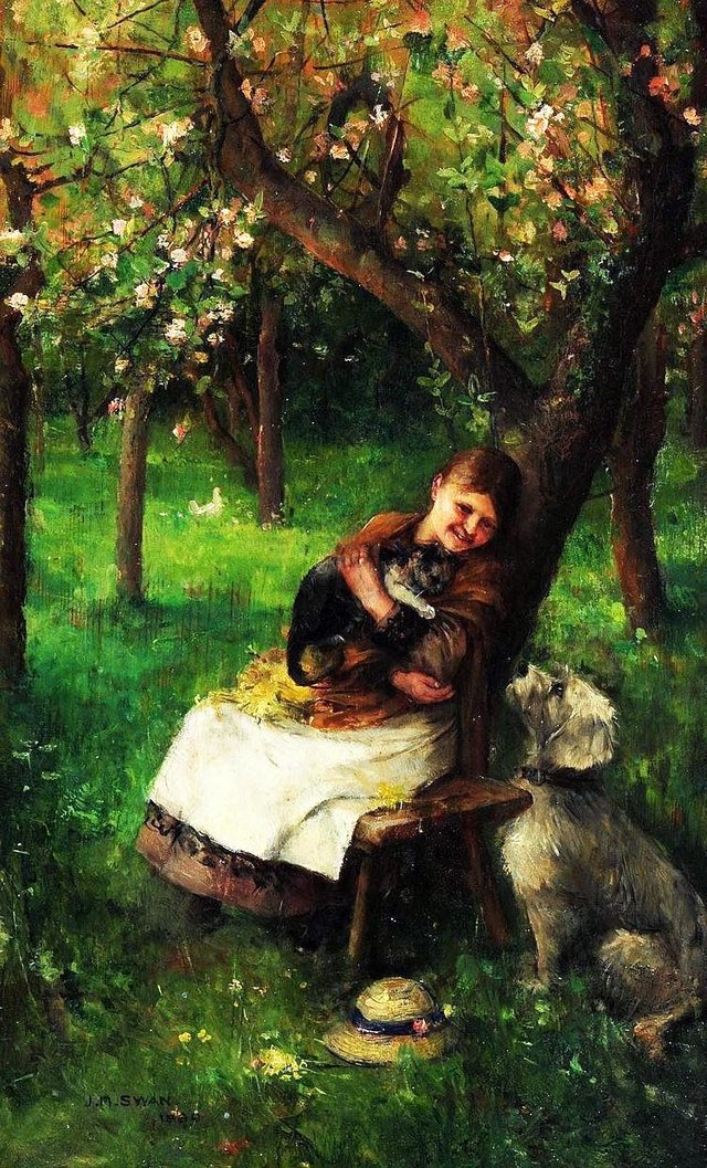 A comfy cat by John Macallan Swan