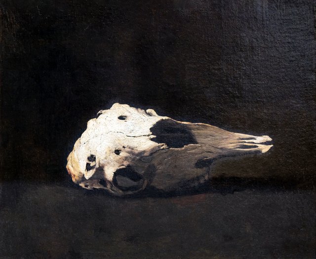 Sheep skull by Augustin Théodule Ribot