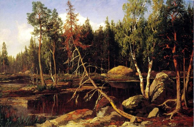 In the woods by Fanny Churberg
