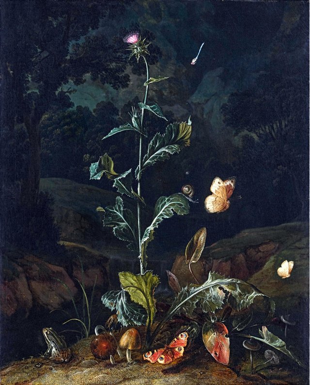Nocturnal forest floor still life with a thistle, butterflies, mushrooms and a frog by Otto Marseus van Schrieck