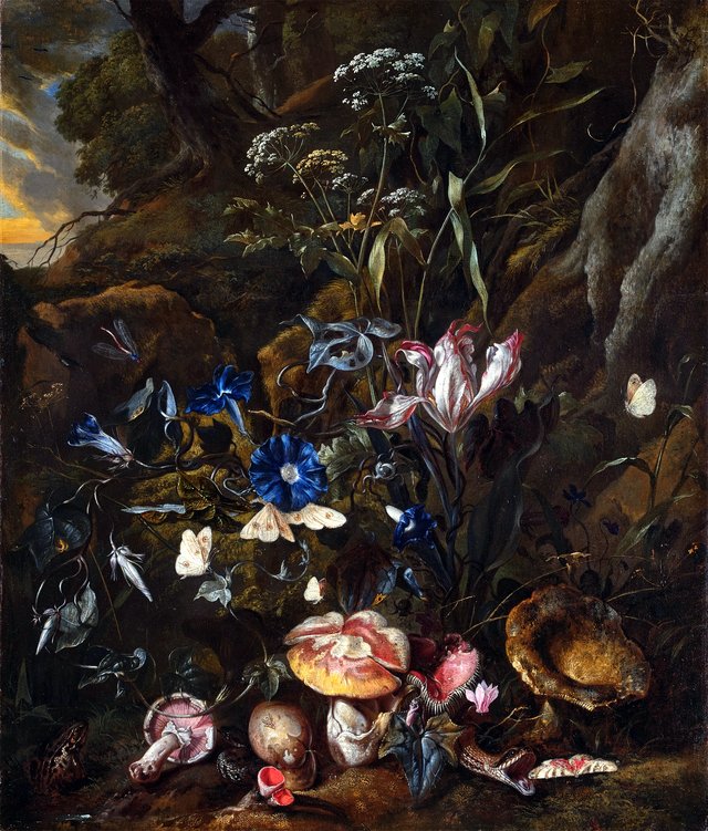 Forest floor still life with flowers, mushrooms, butterflies, a snake, a frog, and a dragonfly by Otto Marseus van Schrieck