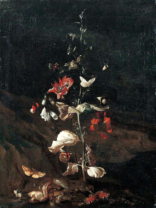 Sous-Bois Stilleben mit Reptilien und Insekten unter einer Distel by Otto Marseus van Schrieck