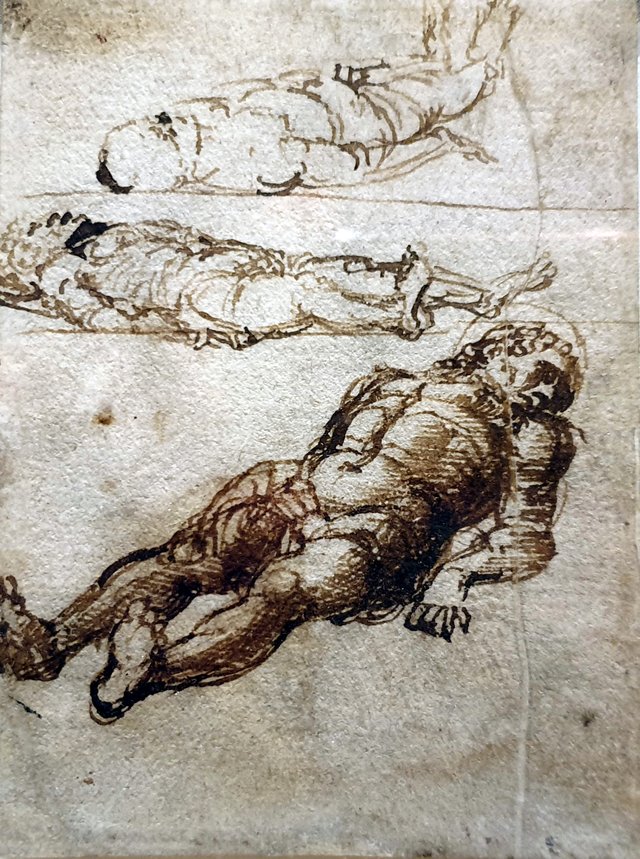 Three Studies for the Dead Christ by Andrea Mantegna