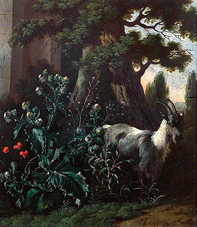 Plant Study with Goat by Abraham Begeyn