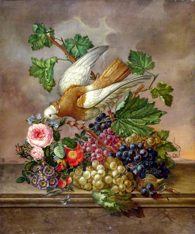 Flowers, Grapes and Dove on a Stone Ledge by Jan van Os