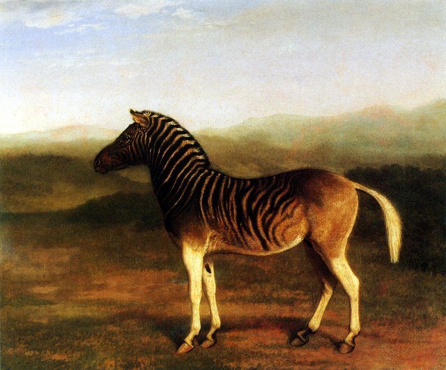 Male Quagga from Africa, the First Sire by Jacques-Laurent Agasse