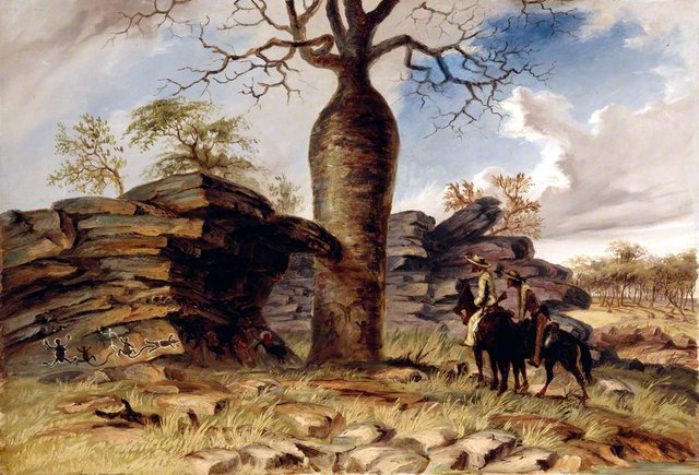 Figures Painted on Rocks and Carved on a Gouty Stem Tree by Thomas Baines