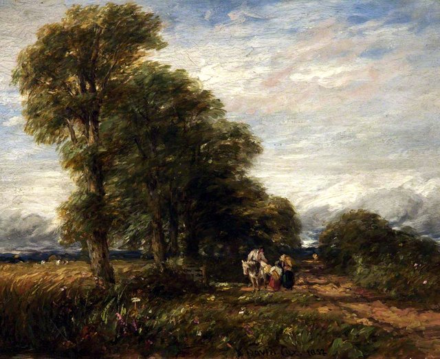 Lane near Rowley Regis by David Cox