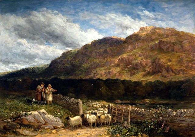Counting the Flock by David Cox