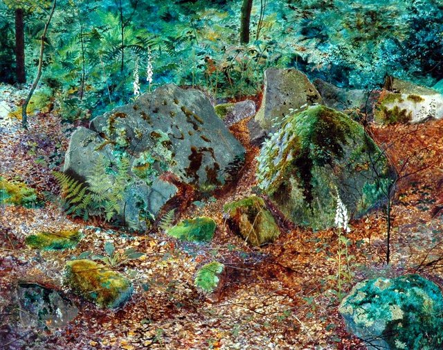 A Mossy Glen by John Atkinson Grimshaw