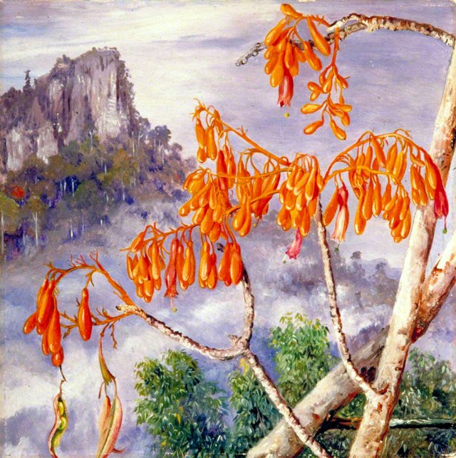 Limestone Mountains of Sarawak, Borneo by Marianne North